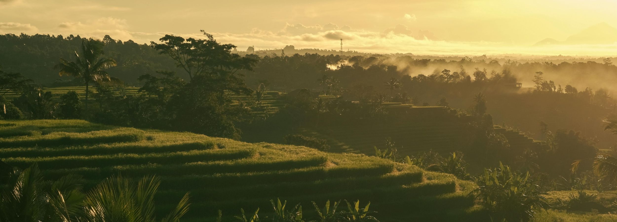 Queen Tempel Bali Retreat Header